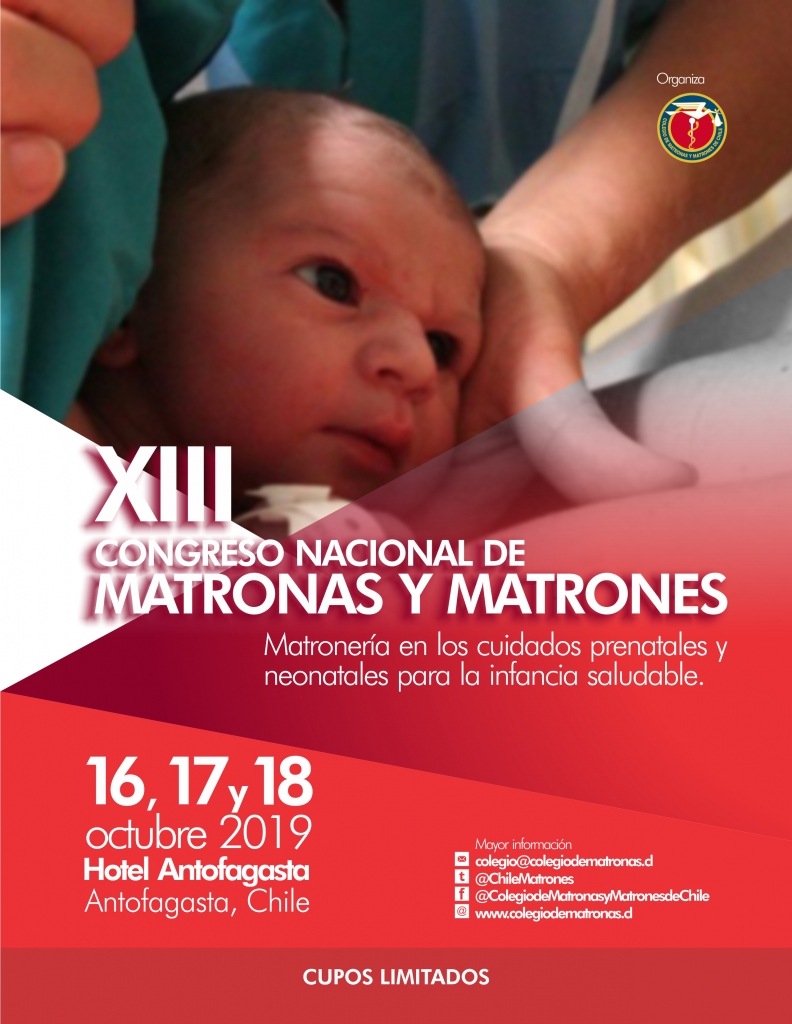 afiche XIII congreso matronas 2