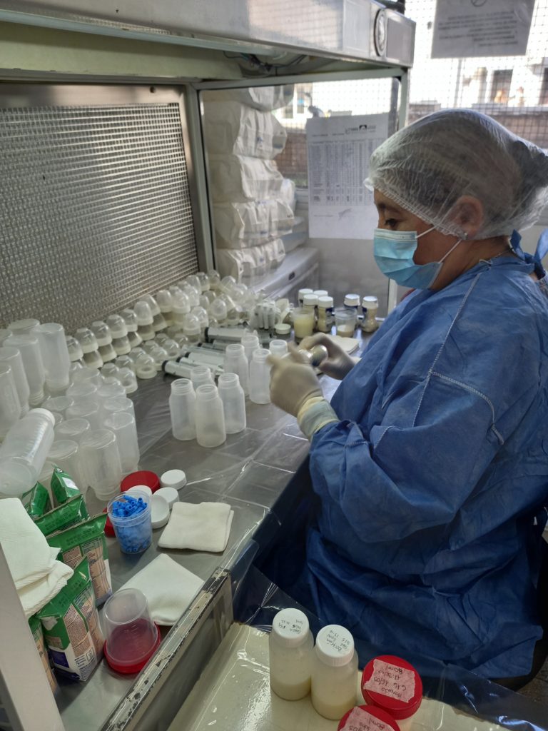 Semana de la Donación de Leche Humana: las obstétricas, clave en la promoción y acompañamiento