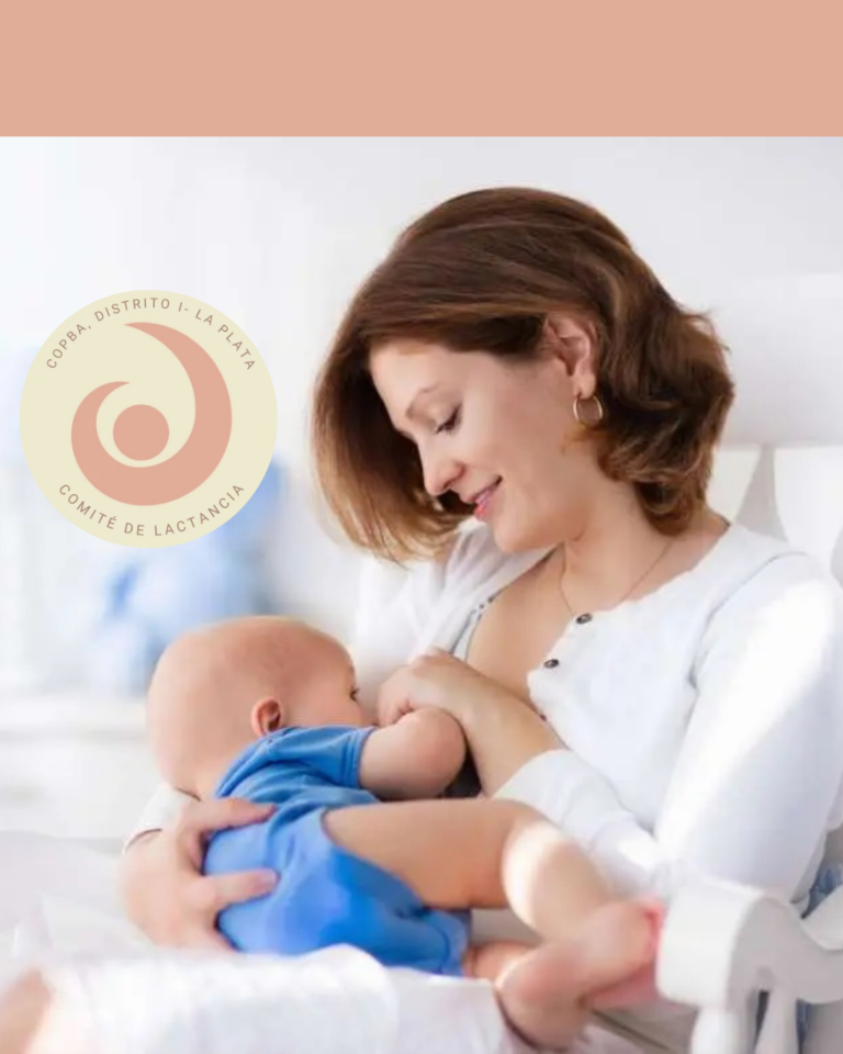 Jornada virtual: Situación de la Lactancia en Argentina