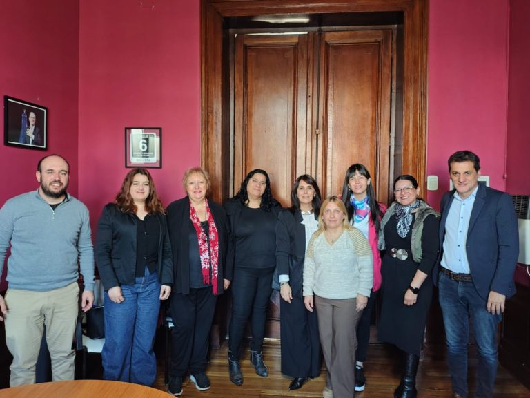 Reconocimiento que nos llena de orgullo: el Concejo Deliberante de La Plata distinguió la labor del Colegio de Obstétricas